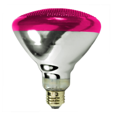 Pink Weatherproof BR38 Flood Lamps