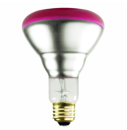 Pink BR30 Light Bulb